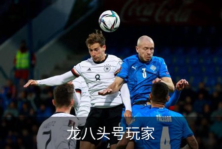 龙八头号玩家简介