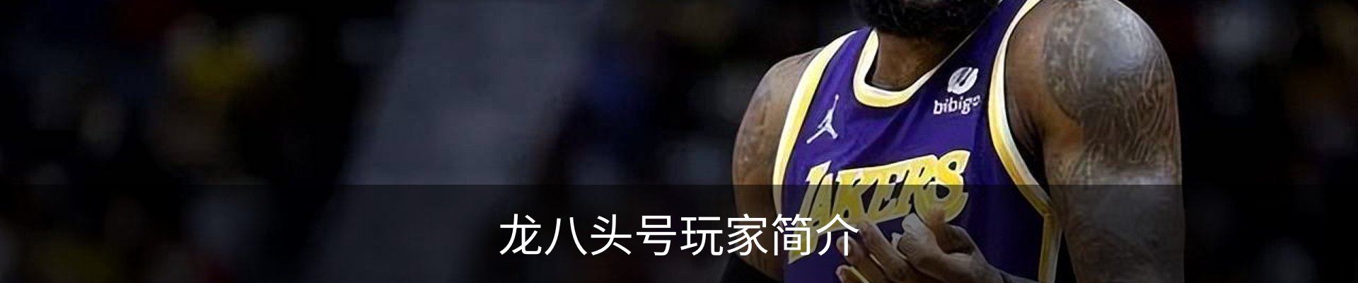 龙八头号玩家简介